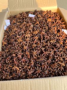 Anís Estrellado de Vietnam, Cosecha de Otoño, Nueva Temporada, Sabor Intenso, Precio al por Mayor - Product Image 2