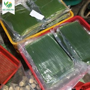 Hoja de Plátano Congelada Orgánica VIET THIEN PHU, Fruta Fresca Económica de Alta Calidad, Estilo Directo de Agricultura Vietnamita para Uso Industrial - Product Image 4