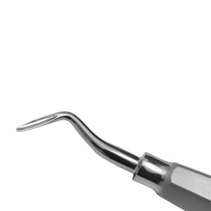 เครื่องมือถอนฟันและดูแลฟันปลอมชนิดยกฟัน ทำจากสแตนเลสอย่างดี คุณภาพสูง ระดับคลาส II - Product Image 2