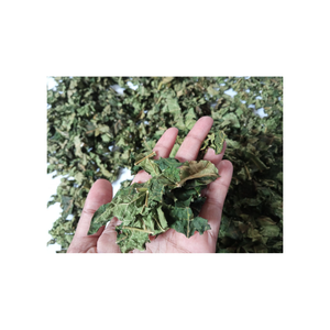 ใบมะละกอแห้งผลิตภัณฑ์จาก expad Vietnam - Product Image 4