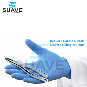 Instruments dentaires de bonne qualité pour la chirurgie dentaire Jeu de forceps d'extraction dentaire en acier inoxydable par SUAVE INSTRUMENTS CHIRURGICAUX - Product Image 3