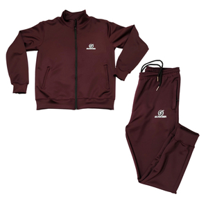 Wholesale Premium Custom Men's Winter Full Zip <b>Stand</b> Collar Eco-Friendly Lightweight Jogging Sports Fitness Tracksuits Hoodies - Product Image 1