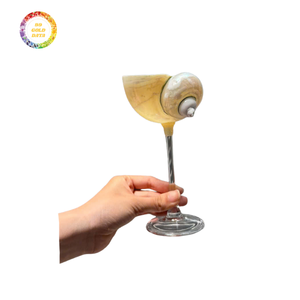 Vaso con Diseño de Concha Marina para Bebidas de Fiesta - Vajilla con Aspecto de Concha Único, Suministro al por Mayor con Costo Competitivo - Product Image 3
