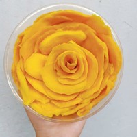 Groothandel Gedroogde Mango Fruit Gedehydrateerde Mango Gevriesdroogd Fruit Gevriesdroogd Mango Fd Akina