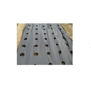 Films agricoles de qualité standard Films de paillis à usage agricole disponibles au prix de gros Film de paillis pour l'exportation - Product Image 1