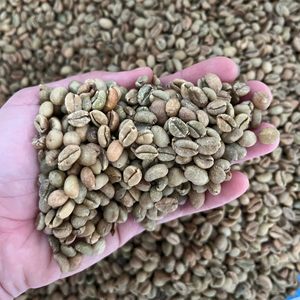 Grains de café vert de haute qualité à prix réduit, Excelsa 1-AA Grade, certifiés ISO du Vietnam, sac en jute de 60 kg, vente en gros - Product Image 2