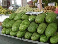 Goede Prijs Bevroren Hele Zuurzak Fruit Natuurlijke Guanabana Bulk-Verpakte Hoek