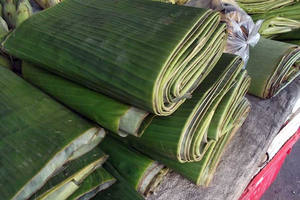 PRODUCTO VENTA CALIENTE HOJA DE BANANA DE ALTA CALIDAD DE LA FÁBRICA DE VIET NAM - Product Image 4