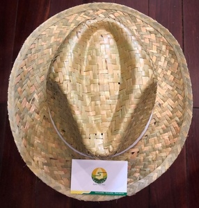Sombrero de Sol de Ala Ancha con Rayas de Hierba Marina Natural para Viajes a la Playa y Uso al Aire Libre - Product Image 1