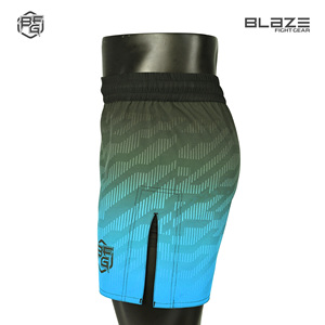 High Street Hommes MMA Shorts Logo Personnalisé Impression Anti-Rides Grappling Entraînement Sportif Porte des Vêtements d'Entraînement de Qualité Motif de Vêtements d'Entraînement - Product Image 3