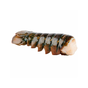 Prix d'usine Homard royal prêt pour la distribution en gros et l'exportation - Product Image 2