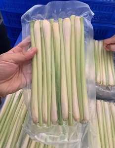 Hierba de Limón Congelada PREMIUM, Rebanadas Naturales IQF, Tallos Picados y Cortados para Sazonar Alimentos, Procesamiento y Exportación // Sra. Lily Ngo - Product Image 3