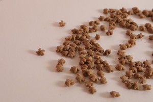 Snack per la cura dei denti al salmone per gatti, taurina ricca di cani - Product Image 3