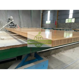 Construcción y propósito decorativo Consolidación Madera contrachapada de bambú duradera moderna Categorías cruzadas Tablero de capas - Product Image 4