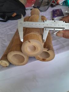 ขายโรงงานเสาเข็มพืชธรรมชาติสําหรับพืชในร่มและกลางแจ้ง - Product Image 3