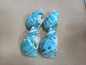 Anillo para Servilletas de Calidad Vietnamita, Porta Servilletas con Diseño de Caracol y Concha para Organizar Servilletas y Decorar Recepciones de Boda - Product Image 4
