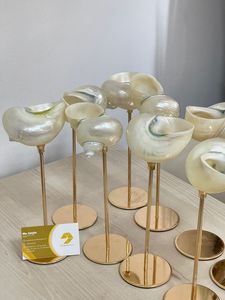 Copas de vino de concha marina Auténtico vietnamita Hecho a mano Vajilla de concha de océano Copas de vino de concha marina Ideal para decoración de comedor de Resort - Product Image 6