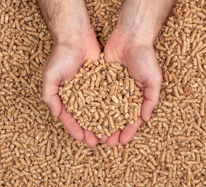 Pellets de bois de pin naturel Natura Pine pour la cuisson Poudre de sciure de bois en forme de briquette 6mm Diamètre 20-40mm Longueur Qualité du bois de chauffage - Product Image 4