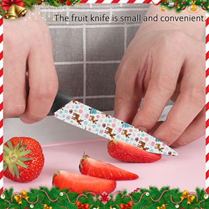 Cuchillo de Chef con Hoja de Cerámica para Acampar al Aire Libre, Envío Gratis, Suministro de Fábrica, Calidad Premium, Mango de Plástico, Gran Venta - Product Image 3