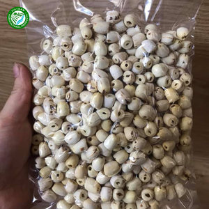 Foxnuts séchés de qualité supérieure Graines de lotus de haute qualité en vrac Prix d'exportation compétitifs du Vietnam pour l'agriculture - Product Image 5