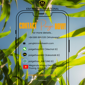 Silage de maïs de qualité supérieure pour l'alimentation du bétail - Product Image 6