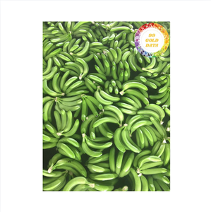 กล้วยสดปลูกตามธรรมชาติผลไม้เมืองร้อนของเวียดนามเหมาะสำหรับขายปลีกขายส่งบริการอาหารและบริโภคในแต่ละวัน - Product Image 1