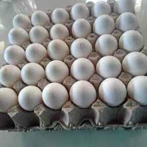 Œufs de poule de table blancs Ross 308 et Cobb 500 de haute qualité, frais du Royaume-Uni, durée de conservation de 6 mois, prix de gros, en vente - Product Image 1