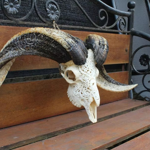 มือแกะสลักอย่างหรูหรารูปควายกระทิงและกระโหลกเขาคู่บารมีแขวนผนังการออกแบบวัฒนธรรมที่ทันสมัยของตกแต่งบ้าน - Product Image 1