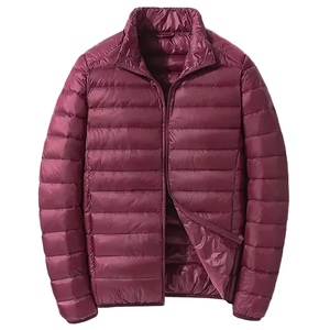 Veste d'hiver matelassée à capuche pour homme, style décontracté, pliable, épaisse, 80% duvet, écologique, élégante - Product Image 1