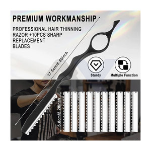 Rasoir effilant pour une coupe de cheveux de précision avec 10 lames tranchantes remplaçables, outil de coiffure durable pour salon et usage domestique - Product Image 2