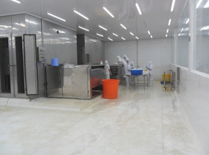 สับหญ้ามะนาวแช่แข็ง/สับ - Product Image 5