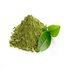 Highly Rated Pure Organic Green Tea <b>Extract</b> Powder Food Grade Root Leaf <b>Extract</b> Available in Bag Drum Packaging Certified Halal - Product Image 1
