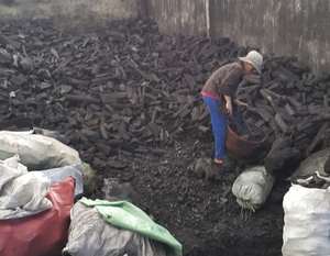 Charbon de bois de nacre fiable pour des barbecues parfaits Charbon de narguilé de type noir en bois dur de noix de coco - Product Image 6