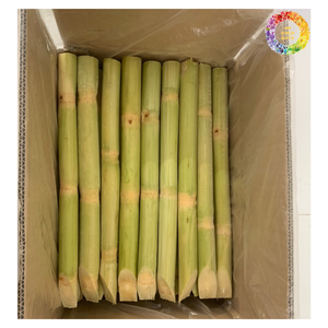 น้ำอ้อยแช่แข็งสีเขียวและสีม่วงพร้อมบรรจุภัณฑ์แบบกำหนดเองสำหรับน้ำผลไม้ในเวียดนามสำหรับฤดูกาลใหม่ - Product Image 1