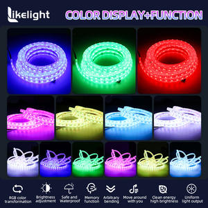 Оптовая продажа OEM/ODM светодиодных лент 10 мм PCB, 30/60 светодиодов SMD5050, DC12V/24V, IP20/IP65/IP67, красный, желтый, синий, зеленый, белый, RGB - Product Image 3