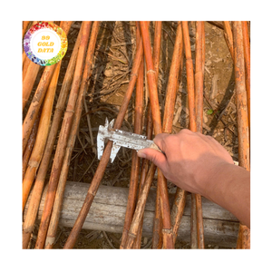 Poteau en rotin Matériau en rotin naturel durable pour accessoires de meubles et projets artisanaux Vietnam - Product Image 2