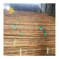 Poteaux en rotin naturel en vrac de plusieurs tailles de l'usine du Vietnam avec une haute qualité et le meilleur prix