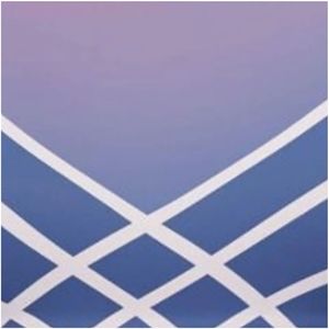 Sujetador deportivo de alto impacto para correr acolchado mujeres Sexy sujetador sin costuras Sujetador deportivo Top para Yoga Fitness entrenamiento ropa activa - Product Image 5