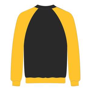 Sweat-shirt à manches raglan Sigma Gamma Rho pour femmes, éducation HBCU, broderie en chenille, sororité grecque, Divine Nine, mode universitaire - Product Image 3