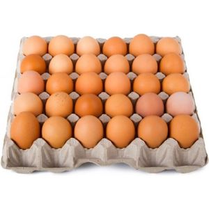 ไข่ไก่สดเกรดพรีเมียมสำหรับขายในราคาส่ง/ ซื้อไข่ไก่สดสำหรับบริโภค สีขาวและสีน้ำตาล - Product Image 3