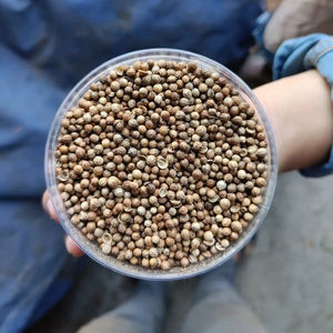 CORRIANDER Productos agrícolas - Product Image 1