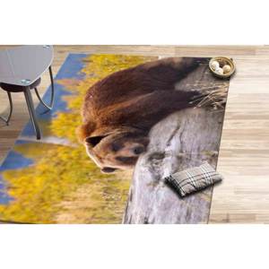 Alfombras con diseño de oso pardo descansando sobre una rama, alfombra moderna, alfombra estampada, alfombra fina no tejida - Product Image 2
