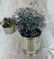 Grand vase de jardinière en métal argenté de luxe pour l'intérieur avec pot de fleurs surélevé Miroir de sol élégant pour le jardin et l'intérieur