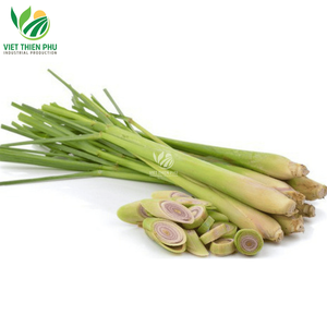 Vente en gros de tige de citronnelle congelée biologique de qualité supérieure du Vietnam emballage en vrac à prix bon marché - Product Image 4