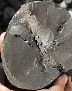 Charbon de bois forfaitaire de qualité supérieure en bois de café Vietnam combustible de barbecue naturel à faible teneur en cendres pour narguilé et grillades de restaurant - Product Image 1