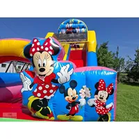 Grand équipement d'amusement gonflable d'extérieur 6x4x4,5 pieds