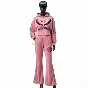 Survêtement en polaire de qualité supérieure pour femmes 300GSM Tissu en velours doux Couleur rose Logo personnalisé Broderie Sweat à capuche et pantalon Survêtements grande taille - Product Image 1