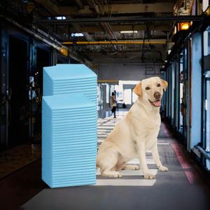 High Quality Reusable Small Pet Pee <b>Pads</b> for Puppy Training Custom SAP Weight Non-Tearable Plastic Paper Material Free Sample - Product Image 3