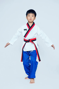 Jiu jitsu kimono Firmway nuevo uniforme de Taekwondo para niños principiantes ropa de entrenamiento profesional de manga larga - Product Image 2