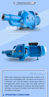 Pompe à eau centrifuge auto-amorçante Forwater en acier inoxydable au carbone pour puits peu profonds et profonds, avec contrôle de pression pour réservoir à jet, Thaïlande